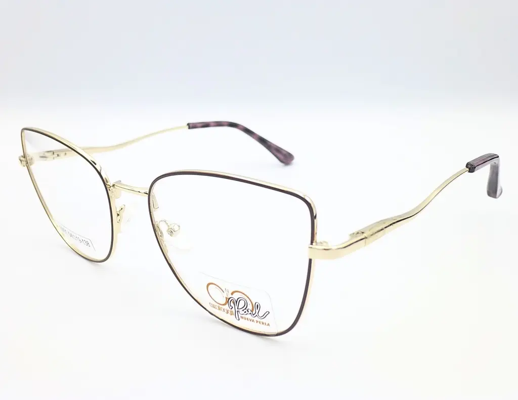 Montura Metalica 6001